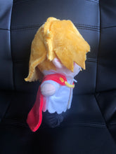 Load image into Gallery viewer, Pirate Plush